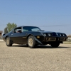 Image 4 : 1979 PONTIAC FIREBIRD
