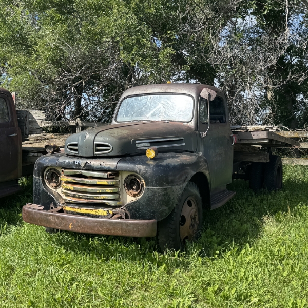 7 - NO RESERVE 1950 FORD F-135