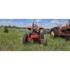 Image 4 : MASSEY-HARRIS 55