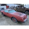 Image 1 : 1977 PONTIAC FIREBIRD 