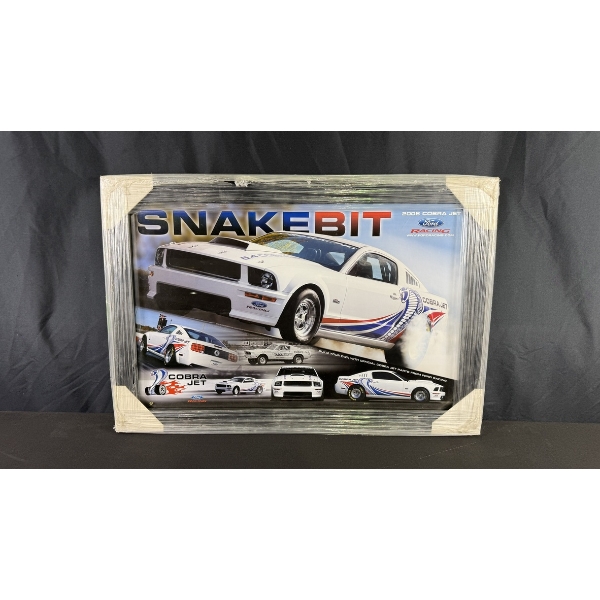 FORD RACING "SNAKE BIT" FRAMED PRINT 19" X 28"