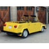 Image 6 : 1973 VOLKSWAGEN THING