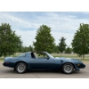 Image 7 : NO RESERVE 1981 PONTIAC TRANS AM