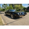 Image 2 : 1979 PONTIAC FIREBIRD