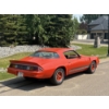 Image 11 : 1980 CHEVROLET CAMARO Z28