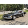 Image 2 : NO RESERVE 1973 BUICK RIVIERA GS BOATTAIL 455