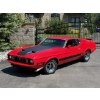 Image 1 : 1973 FORD MUSTANG MACH I 351 COBRA JET