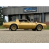 Image 8 : 1978 Y88 GOLD SPECIAL EDITION TRANS AM