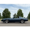 Image 15 : NO RESERVE 1981 PONTIAC TRANS AM