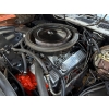 Image 14 : 1980 CHEVROLET CAMARO Z28