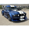 Image 19 : 1955 FORD MUSTANG TRUCK -"GT100"