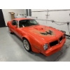 Image 1 : 1976 PONTIAC FIREBIRD TRANS AM 