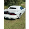 Image 5 : 1999 Pontiac Firebird Convertible