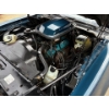 Image 34 : NO RESERVE 1981 PONTIAC TRANS AM