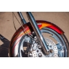 Image 9 : 2007 OCC T-REX SOFTAIL 
