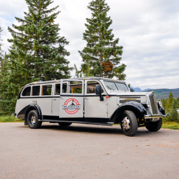 1936 WHITE JAMMER 706 OPEN AIR PASSENGER TOUR BUS