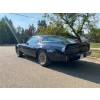 Image 6 : 1979 PONTIAC FIREBIRD