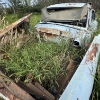 Image 6 : 10 - 1953  FORD CUSTOM – FOR PARTS ONLY