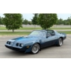 Image 1 : NO RESERVE 1981 PONTIAC TRANS AM