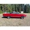 Image 6 : 1967 FORD FAIRLANE 500XL CONVERTIBLE