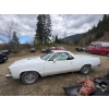 Image 11 : 1981 CHEVROLET EL CAMINO 