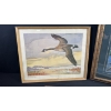 Image 2 : 3 ASSORTED FRAMED WILDLIFE & NATURE PRINTS