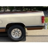 Image 31 : 1984 DODGE D250
