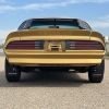 Image 11 : 1978 Y88 GOLD SPECIAL EDITION TRANS AM