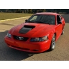 Image 8 : RESERVE LIFTED!!  2004 FORD MUSTANG GT