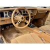 Image 15 : 1978 Y88 GOLD SPECIAL EDITION TRANS AM