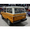 Image 11 : 1976 FORD BRONCO