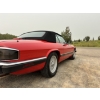 Image 12 : 1992 JAGUAR XJS CONVERTIBLE