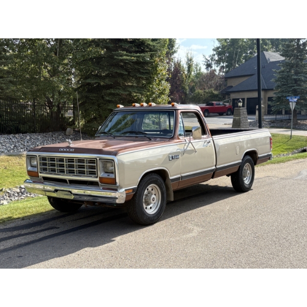 1984 DODGE D250