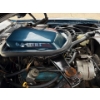 Image 37 : NO RESERVE 1981 PONTIAC TRANS AM