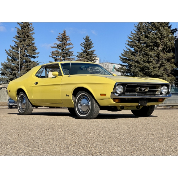 NO RESERVE 1971 FORD MUSTANG