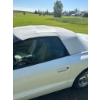 Image 10 : 1999 Pontiac Firebird Convertible