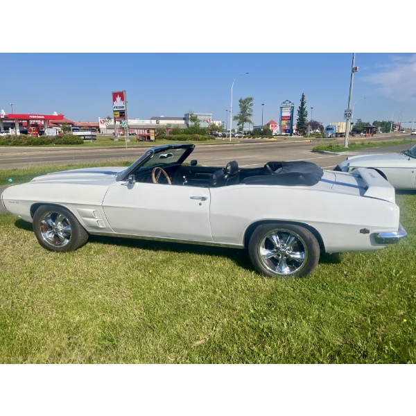 TRANS AM CONVERTIBLE