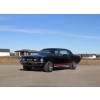 Image 7 : 1967 FORD MUSTANG GTA