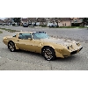 Image 1 : 1980 PONTIAC TRANS AM TURBO SPORT COUPE