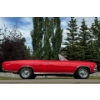 Image 3 : NO RESERVE 1966 CHEVROLET CHEVELLE SS396 CONVERTIBLE