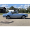 Image 5 : 1969 FORD MUSTANG