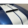 Image 9 : 1955 FORD MUSTANG TRUCK -"GT100"