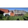 Image 2 : NO RESERVE 1958 FORD F600
