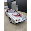 Image 6 : 1981 PONTIAC TRANS AM