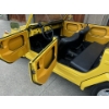 Image 25 : 1973 VOLKSWAGEN THING