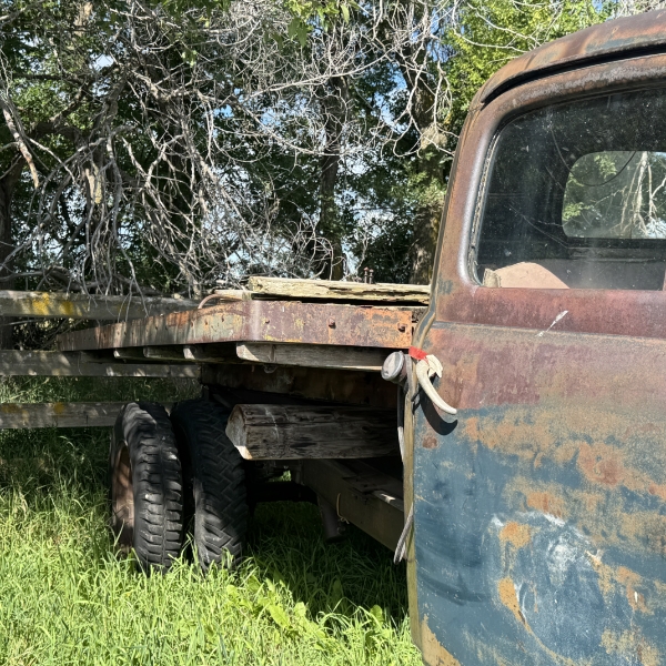 7 - NO RESERVE 1950 FORD F-135