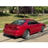 Image 6 : 1996 FORD MUSTANG COBRA SVT