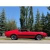 Image 14 : 1973 FORD MUSTANG MACH I 351 COBRA JET