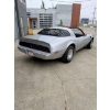 Image 7 : 1981 PONTIAC TRANS AM