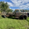 Image 8 : 1- INTERNATIONAL 